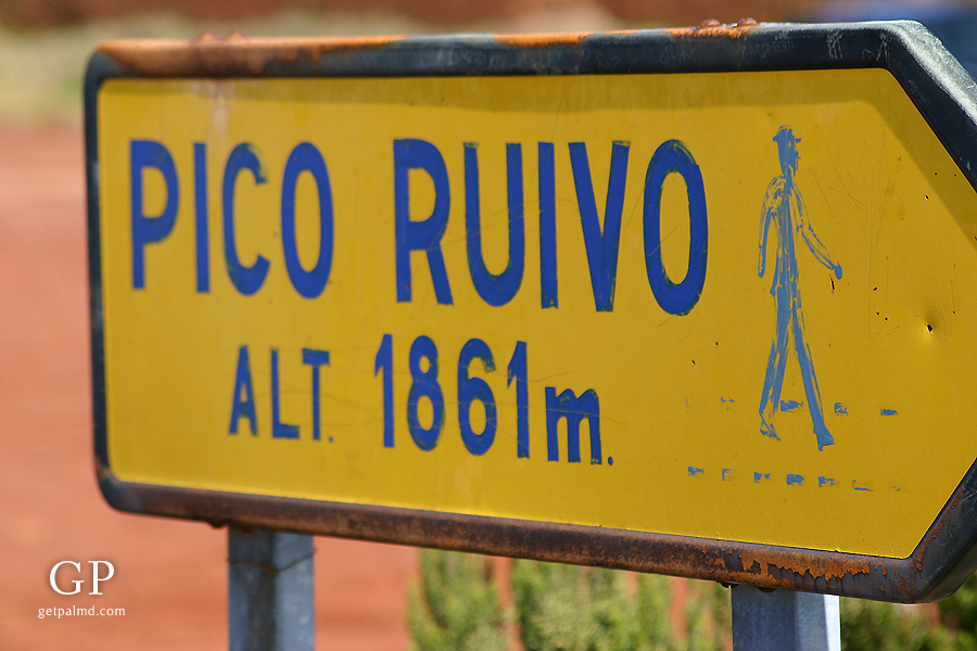 PicoRuivo04