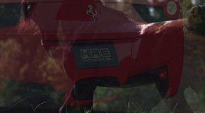 Movie night: Horsepower