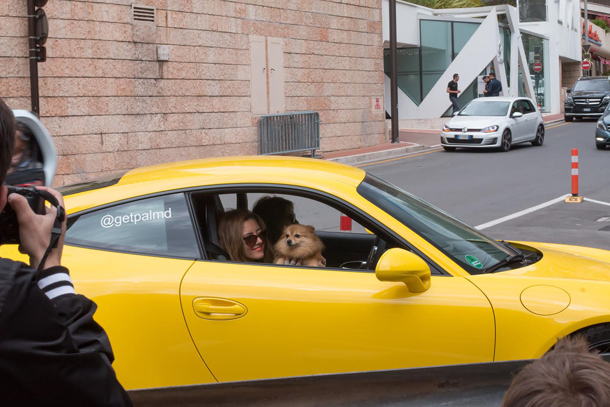 GT3 dog spotting Monaco