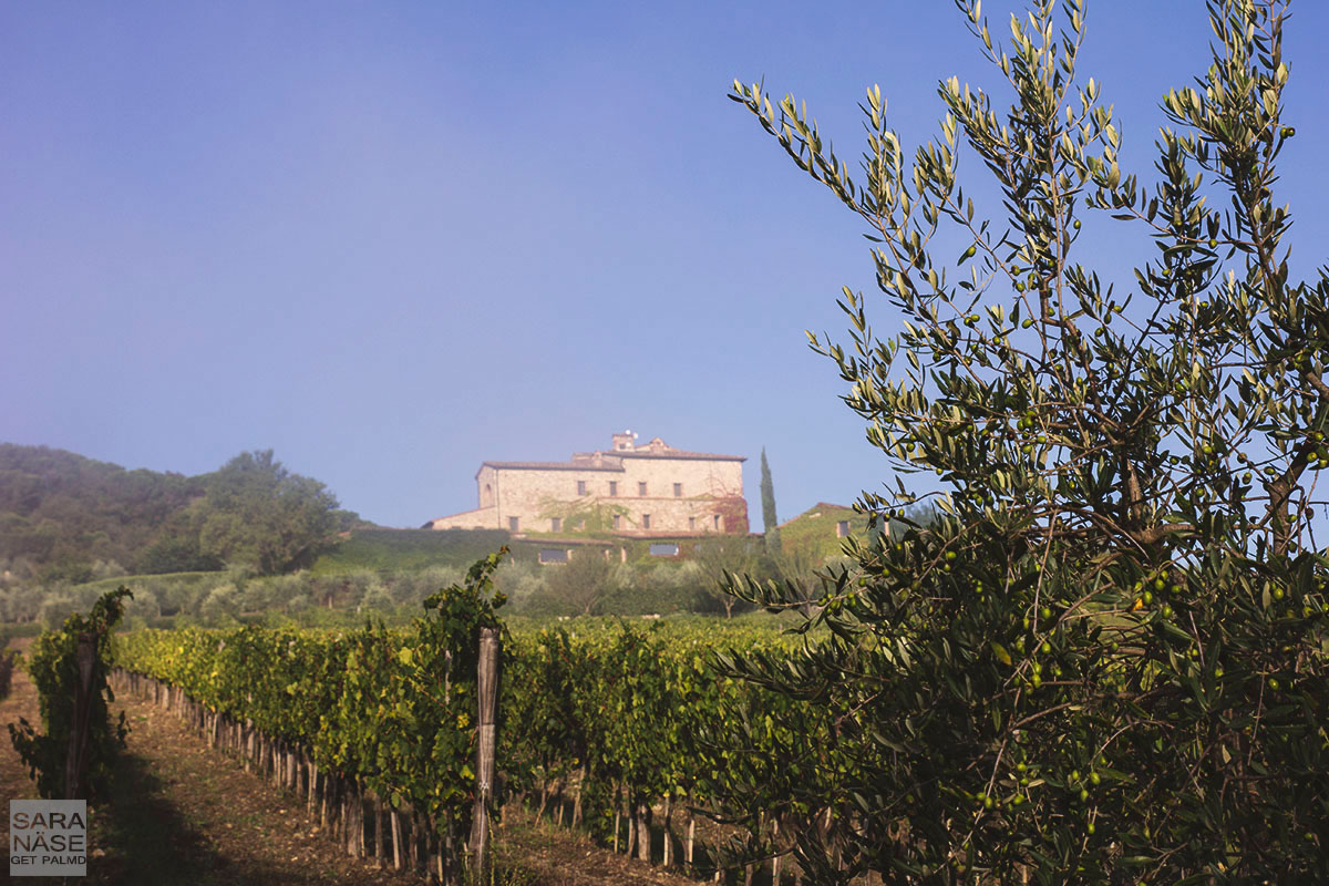 Hotel Le Fontanelle hill