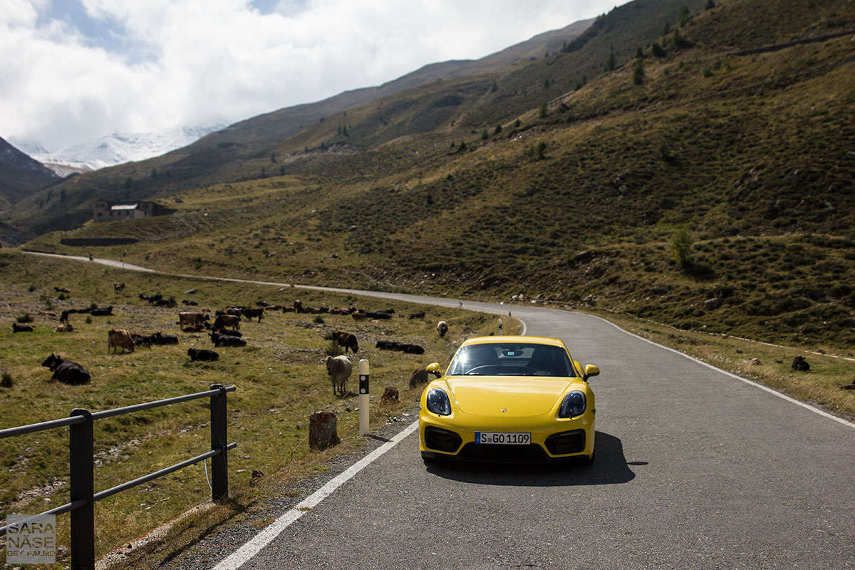 Porsche Cayman Passo Umbrail