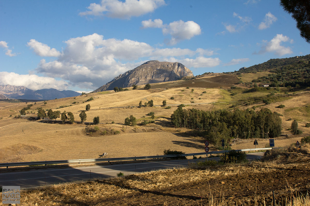 Targa Florio landscape