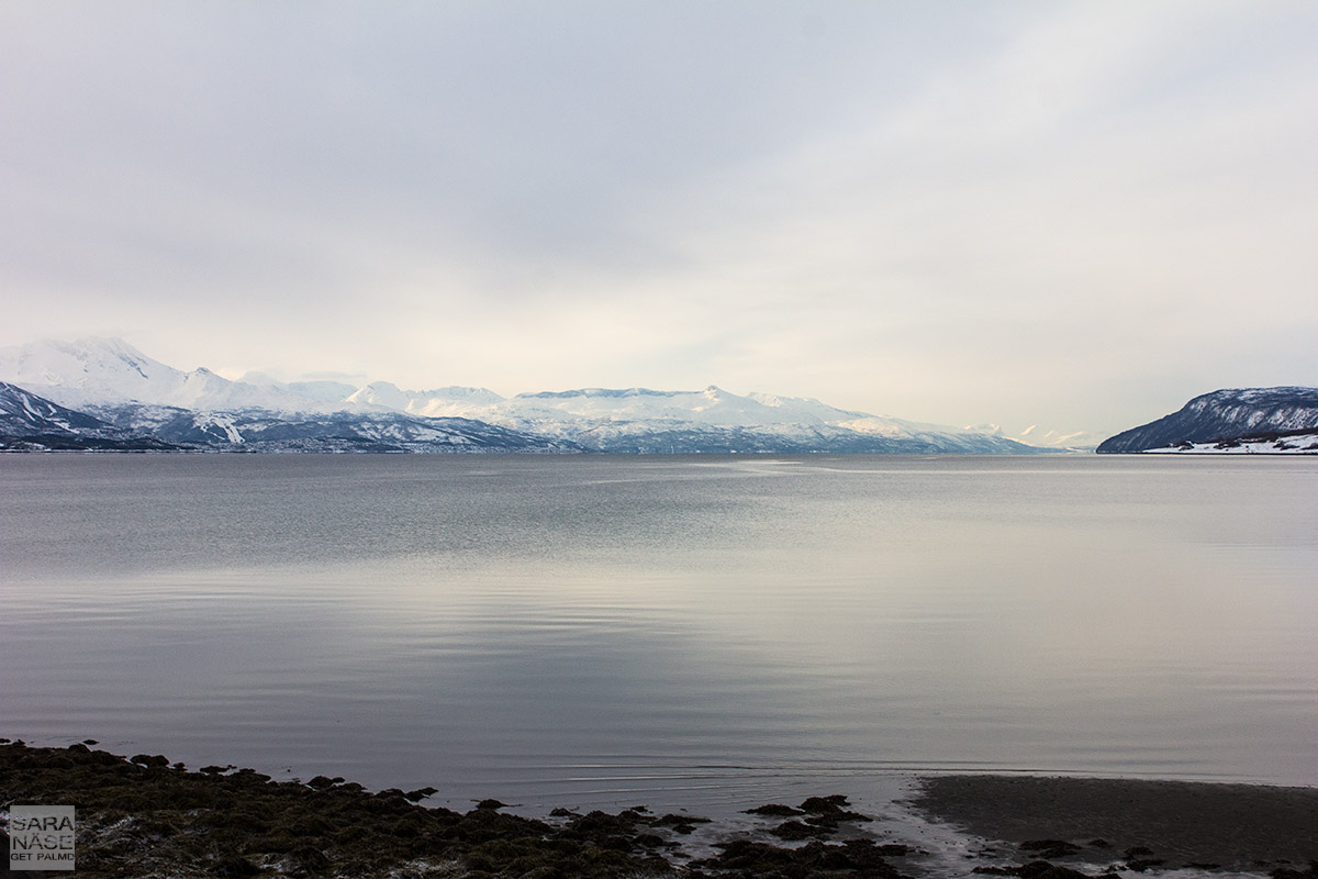 Narvik view