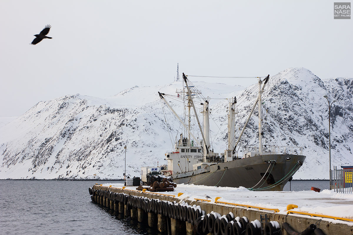 Honningsvag-ship