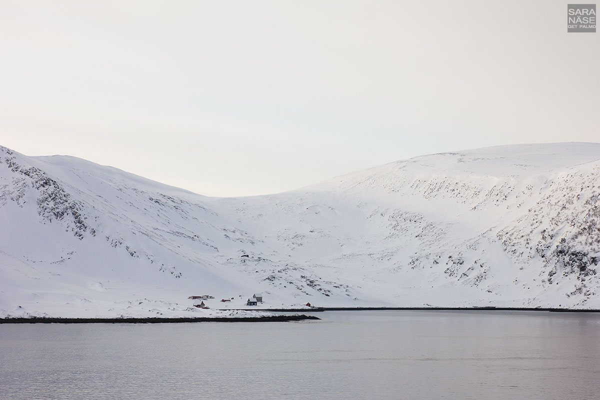 Hurtigruten-winter