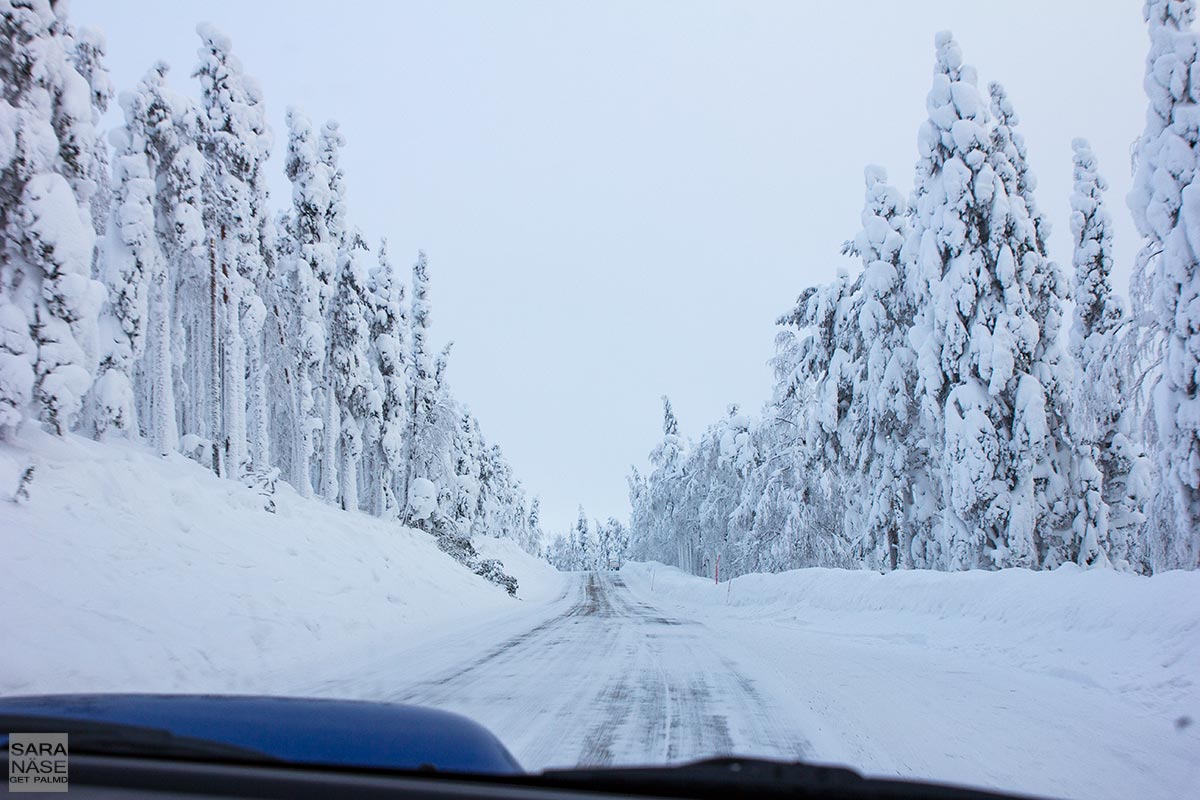 Levi-icy-road