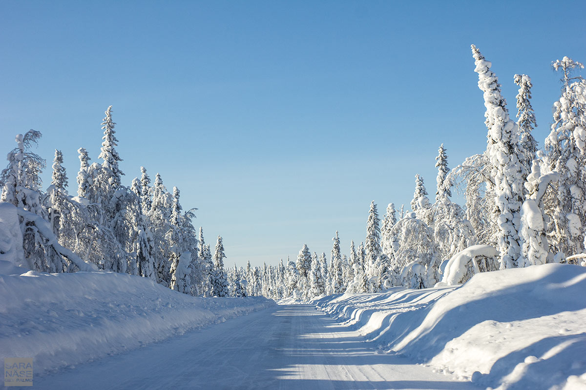 White-snow-road